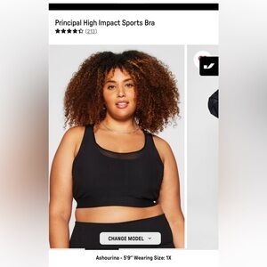 Principal High Impact Sports Bra